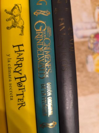 Lote Especial Harry Potter 1