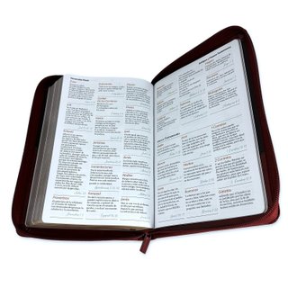 Biblia RVR 1960 Letra Grande Tamaño Manual Sími...