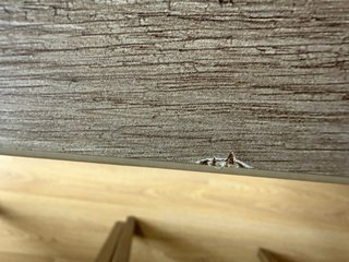 Mesa comedor