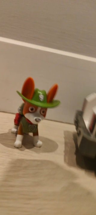 Paw patrol