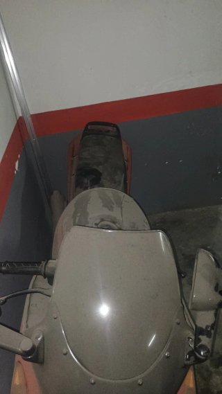 Kawasaki zzr 600cc