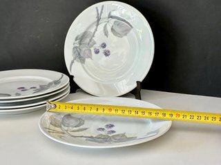 🇩🇪 Rosenthal 6 platos postre