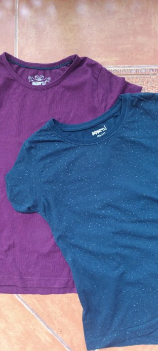 Camisetas en gran estado marca Pepperts.