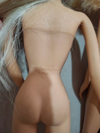 Lote Barbies