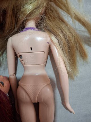 Lote Barbies