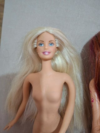 Lote Barbies