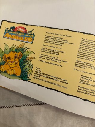 Libro Infantil Disney Los Leones