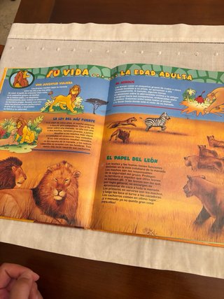 Libro Infantil Disney Los Leones