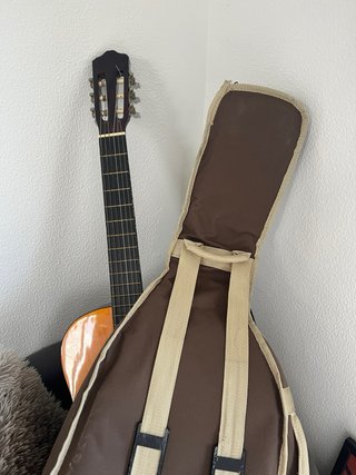 Guitarra acústica con funda