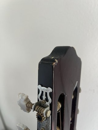 Guitarra acústica con funda