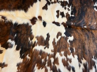 Alfombra Piel Vaca Diseño