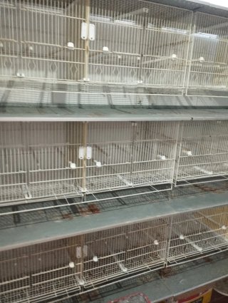 Jaulas metro canarios