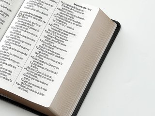 Biblia RVR60 tamaño compacto Letra Grande i/piel n