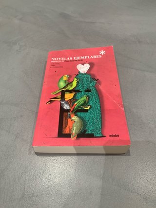 Las novelas ejemplares de Cervantes