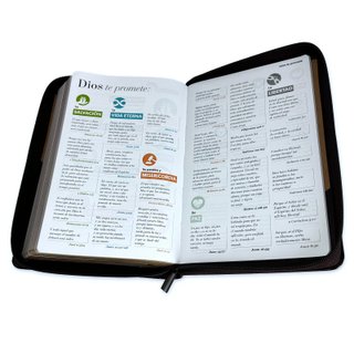 Biblia para Jovenes Letra Grande 12 puntos con ...