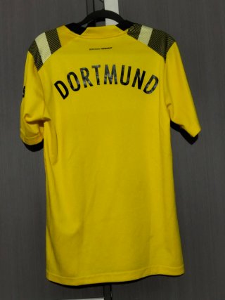 Camiseta Borussia Dortmund Puma Evonik