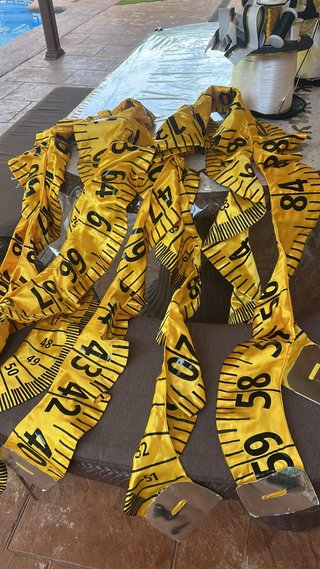 Costumi di Carnevale per il Gruppo Vincitore di 2 Premi