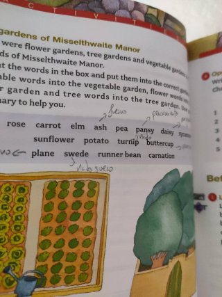 INGLÉS: 8 libros con CD nivel B1 y B2