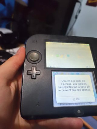 Nintendo 2ds