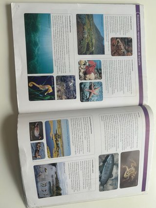 BIOLOGIA Y GEOLOGIA 1ESO CONSTRUYENDO MUNDOS