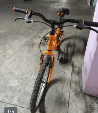 Bicicleta 20 pulgadas Naranja