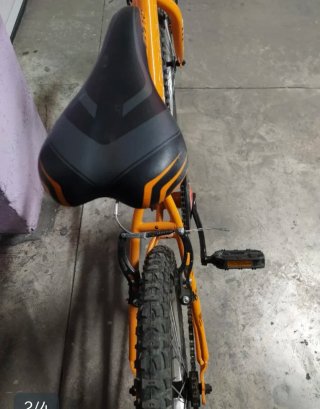 Bicicleta 20 pulgadas Naranja