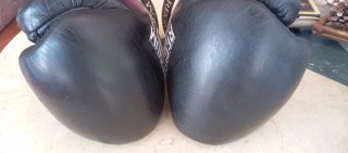Guantes Boxeo Regium Pro Gel System 16oz