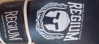 Guantes Boxeo Regium Pro Gel System 16oz