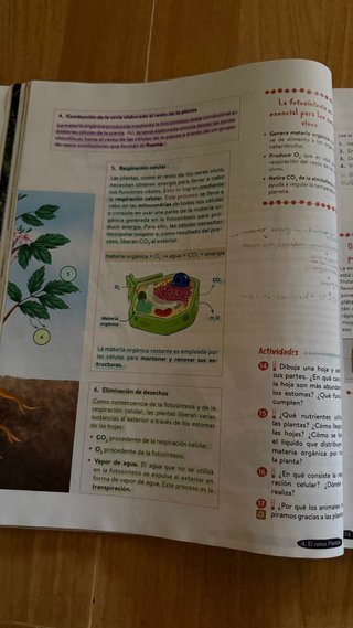 Biología y Geología 1º ESO. Libro del estudiant...