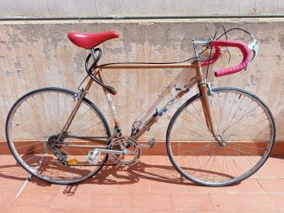 Bicicleta