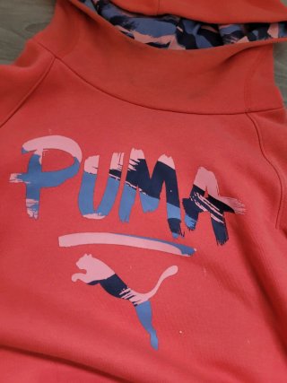 Sudadera Puma Coral con Capucha