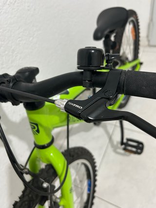 Bicicleta Ridgeback 24 Niños