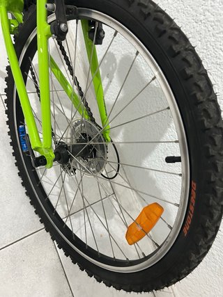 Bicicleta Ridgeback 24 Niños