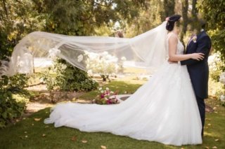 Vestido de Novia Pronovias SAI talla 40 USADO