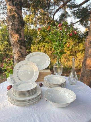 Vajilla Porcelana Imitación Limoges 6 Servicios