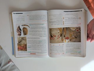 Geografía e Historia 1 ESO