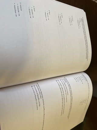 Lengua castellana y literatura 1 Bachillerato :...