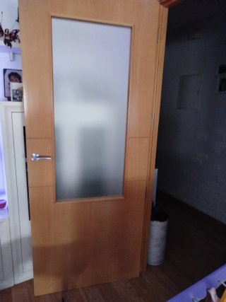 Puerta de salón con cristal mate