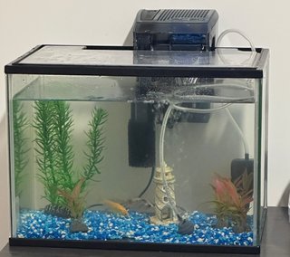 Pecera o acuario de 20 l