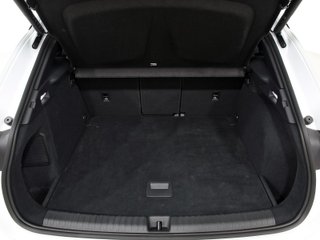 CUPRA TERRAMAR phev