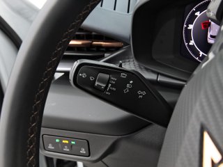 CUPRA TERRAMAR phev