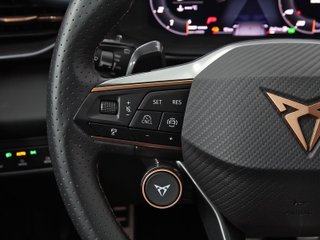 CUPRA TERRAMAR phev