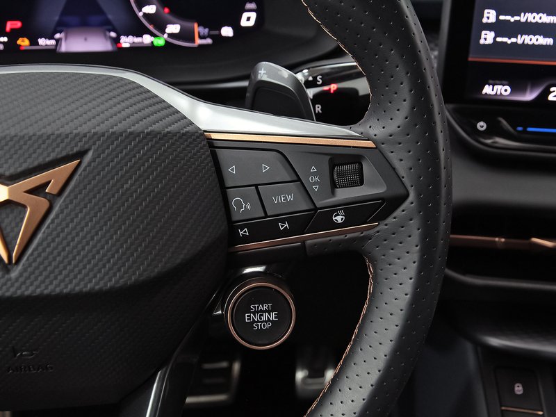 Cupra Terramar 2025, foto 16