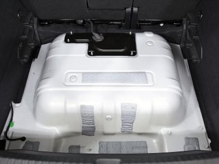 CUPRA TERRAMAR phev