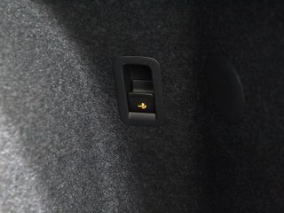 CUPRA TERRAMAR phev