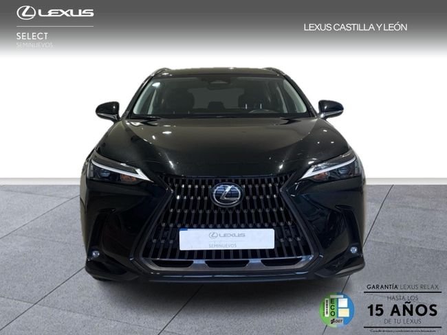 Lexus NX 2024, foto 2