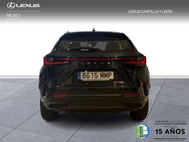 Lexus NX 2024, foto 4