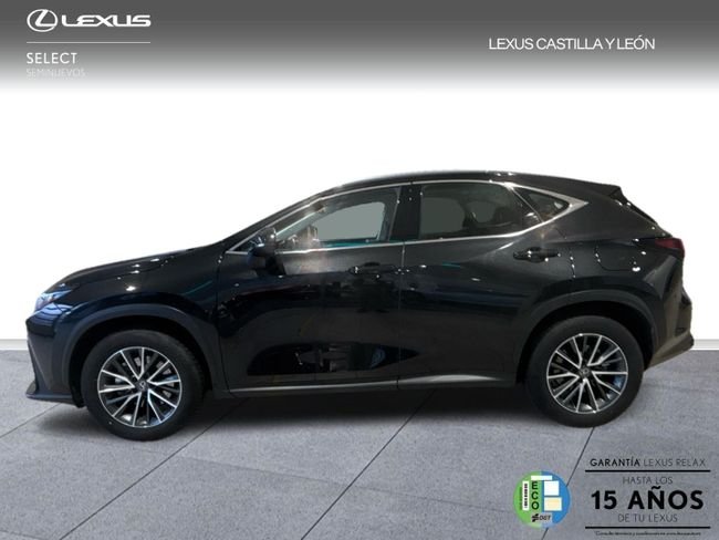 Lexus NX 2024, foto 5