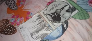 Lote de CDs de Rihanna