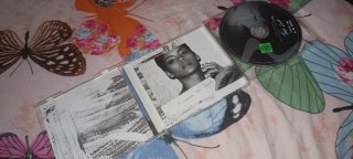 Lote de CDs de Rihanna